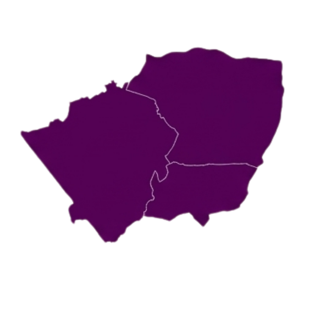 North London Map Section