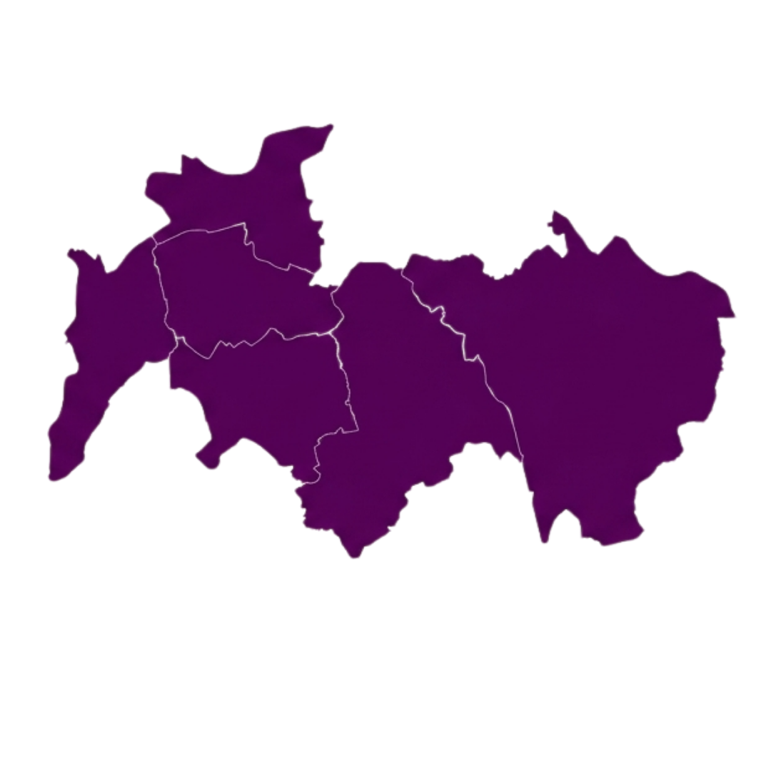 South London Map Section